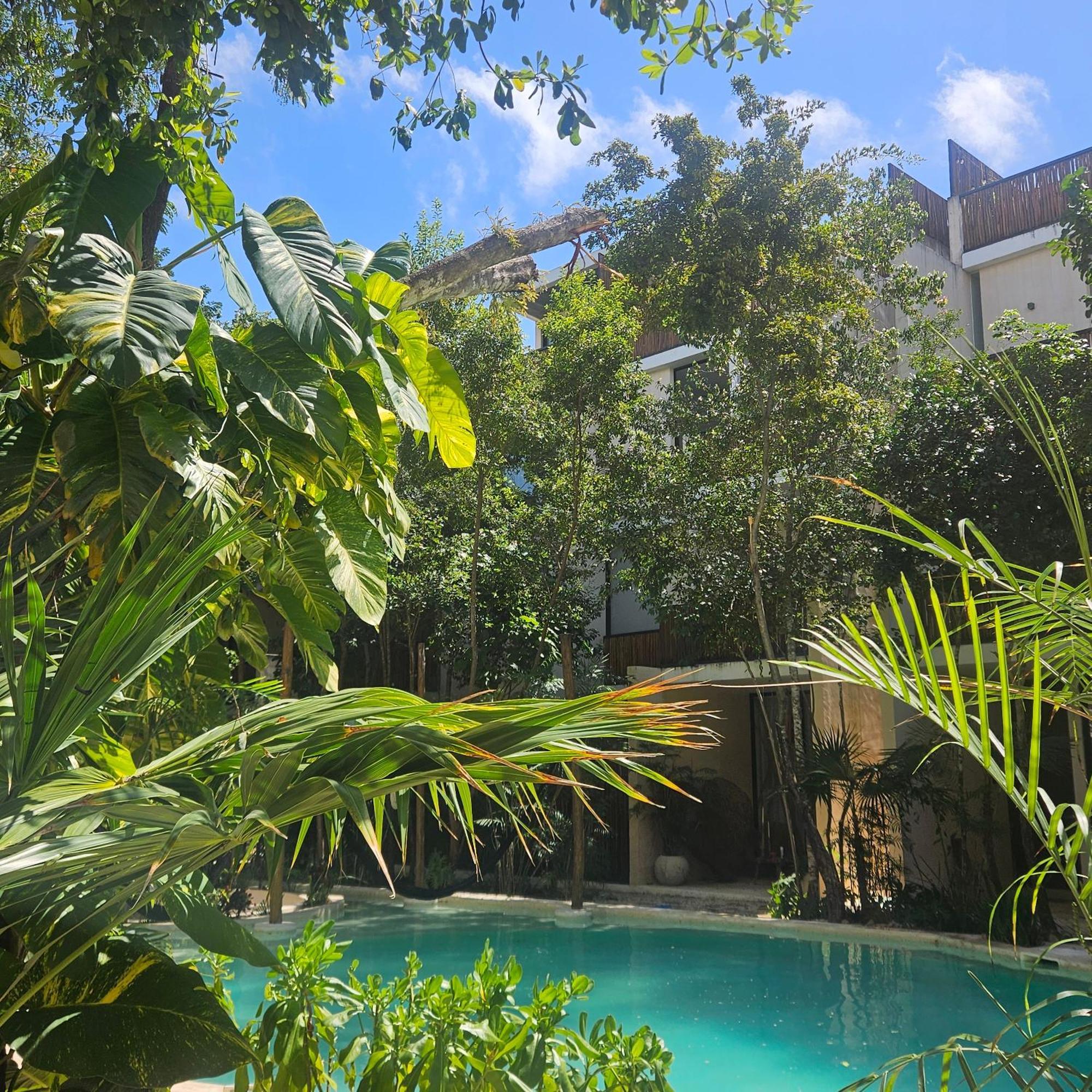 Appartement Stylish New Tulum